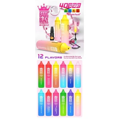 BANGBLAZE40000 DSK040